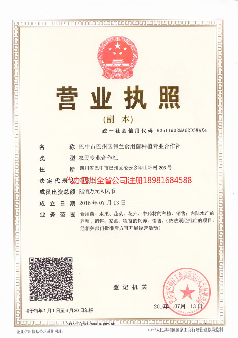 莱州莱州伟兰食用菌种植专业合作社